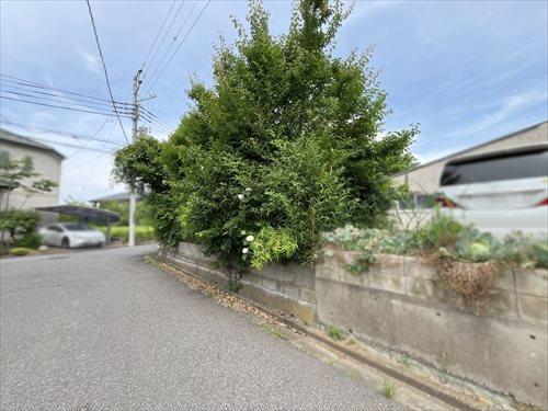 現地（2026年5月撮影）