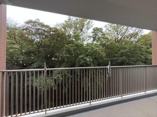バルコニーからの眺望