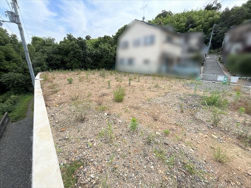 現地（北東側より撮影）
