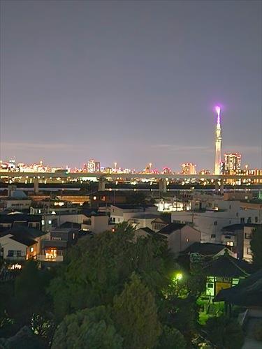洋室約5.2帖　西側窓からの眺望　夜