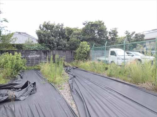 現地（南西方向）