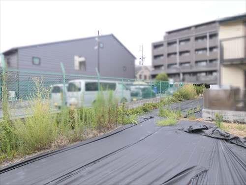 現地（北西方向）