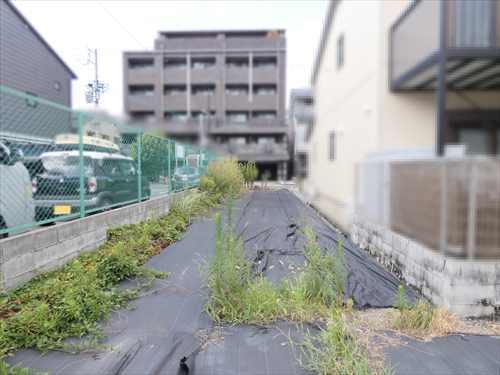 現地（北方向）