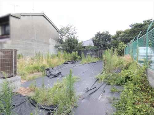 現地（南東方向）