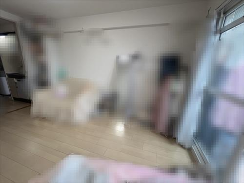 お部屋全体+キッチン