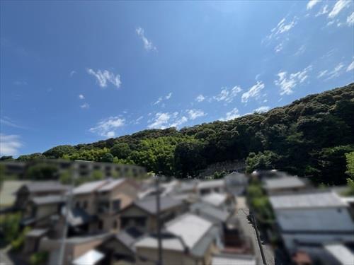 バルコニーからの眺望