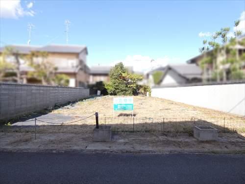 現地写真（正面）