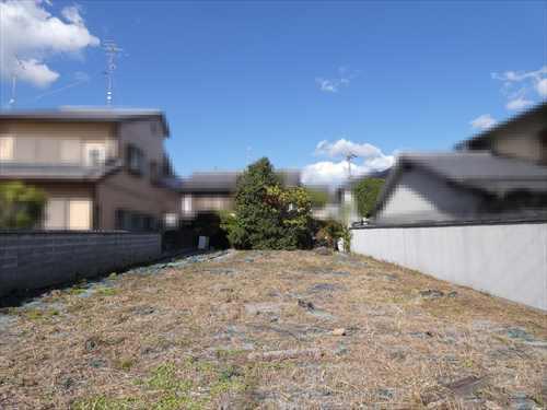 現地写真（正面）