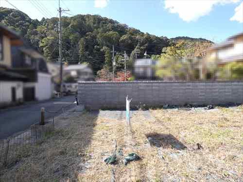 現地写真（西方向）