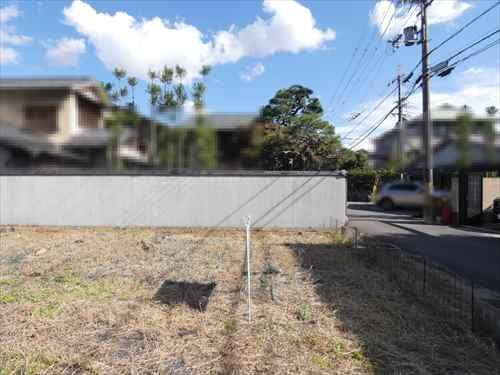 現地写真（東方向）