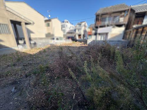 現地（2025年12月撮影）