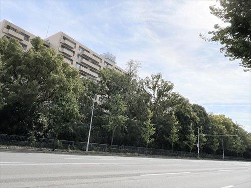 堀川通り
