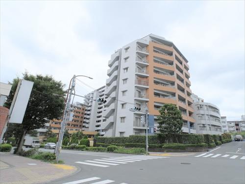 前面道路（撮影 2026.09）