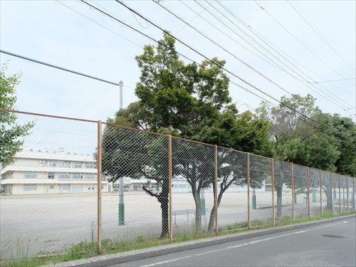 町田市立成瀬小学校 510m