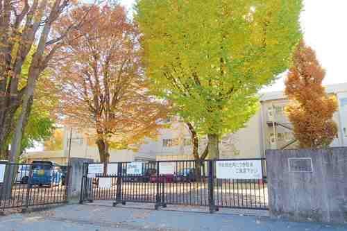 星が丘小学校まで590ｍ