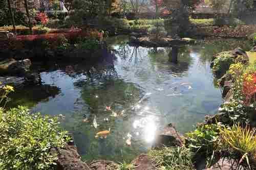 高尾駒木野庭園まで750m