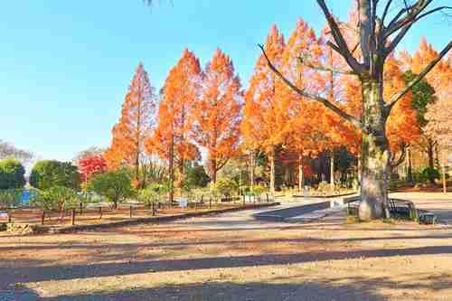 相模原北公園まで1120ｍ