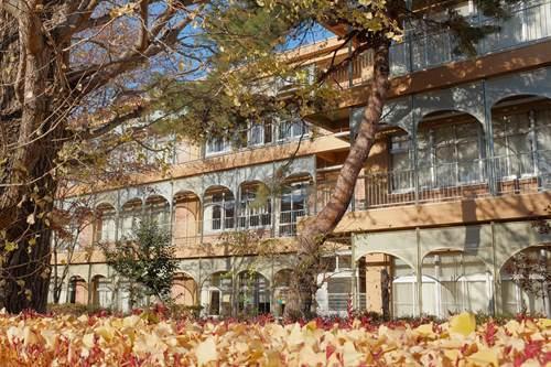 相模原市立富士見小学校 710m