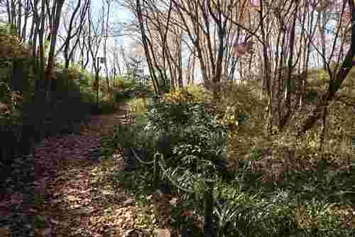 石橋入緑地まで710m