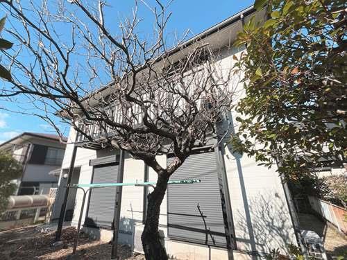 【現地写真2025年12月撮影】