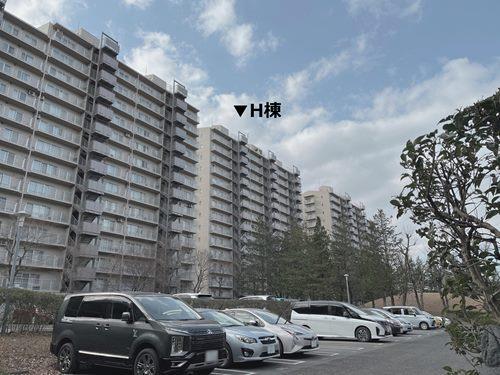 現地（2026年1月 撮影）