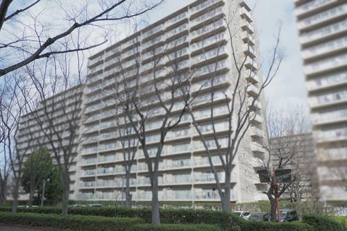 現地（2026年1月 撮影）