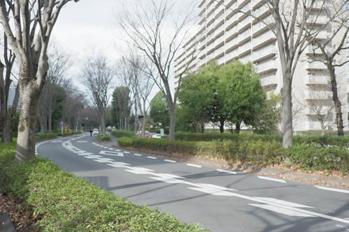 前面道路（2026年1月 撮影）