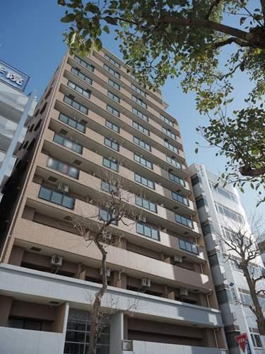 現地（2026年1月 撮影）