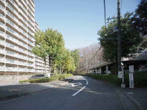 前面道路（撮影 2026.03）