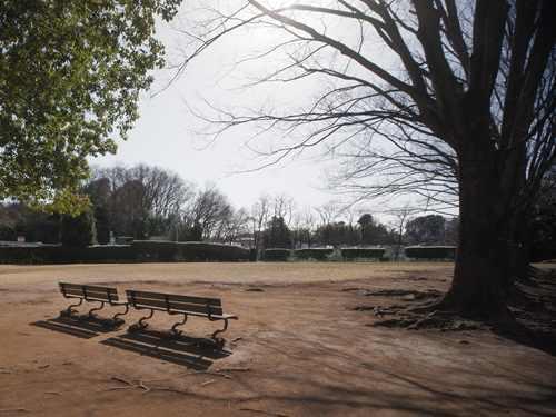 山崎自然公園 550m