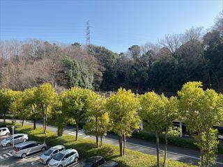 南側バルコニー（眺望）