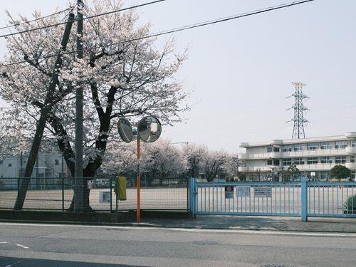 相模原市立淵野辺東小学校 1170m