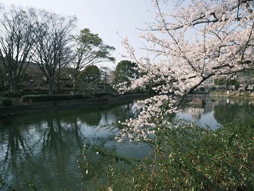 鹿沼公園 1700m