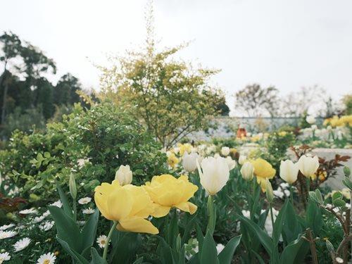 光綾公園 1060m