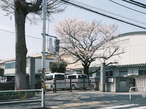 相模原市立大野小学校 1000m