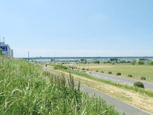 多摩川緑地 450m 多摩川緑地 450m