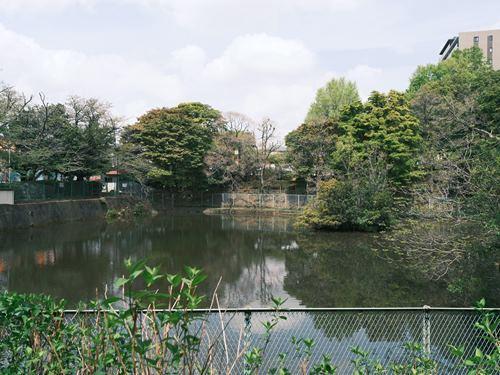 福田1号公園 170m