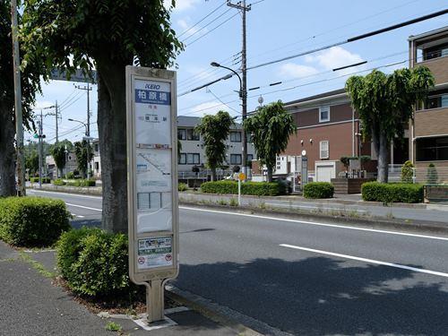 柏原橋下車 徒歩4分