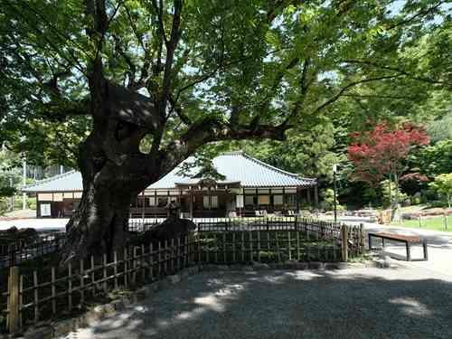 鶴川香山園 1820m