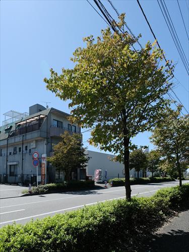 町田木曽西郵便局 1270m