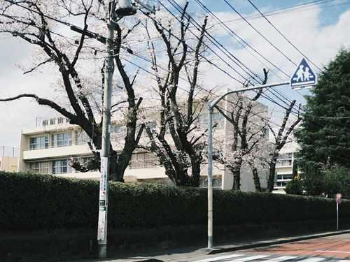 日野市立日野第六小学校 340m