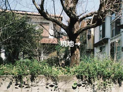 現地（撮影 2026.03）
