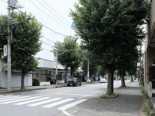 グルメシティ淵野辺本町店 970m