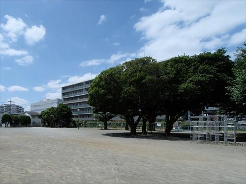 中央1号公園 30m