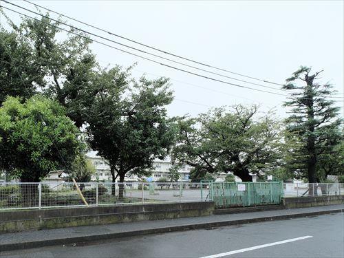 相模原市立上鶴間小学校 560m