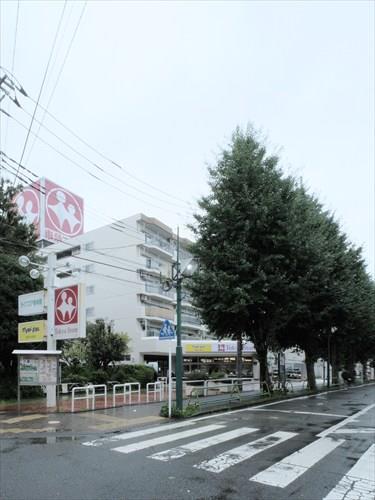 東急ストア東林間店 520m