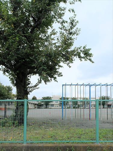 相模原市立田名小学校 1210m