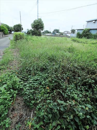 現地（撮影 2026.09）
