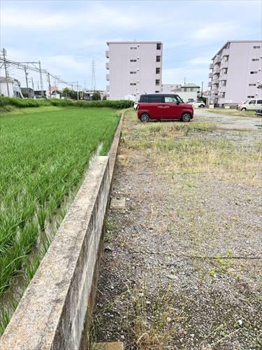 北東側境界付近(2025年6月撮影)