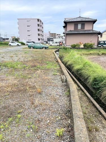 北西側境界付近(2025年6月撮影)